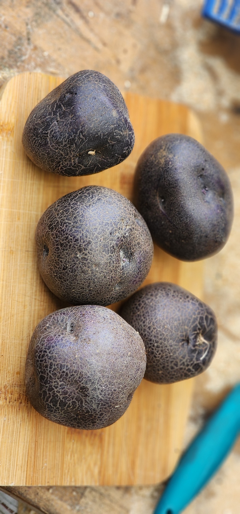 Purple potatoes-2