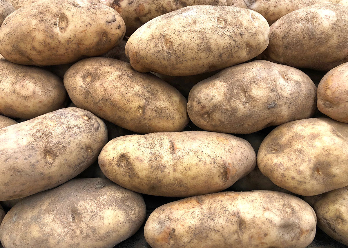 Russet-Burbank-Potatoes